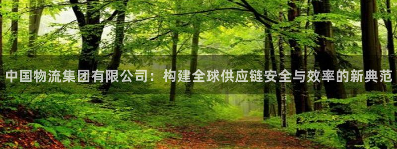 28圈推广链接是多少个：中国物流集团