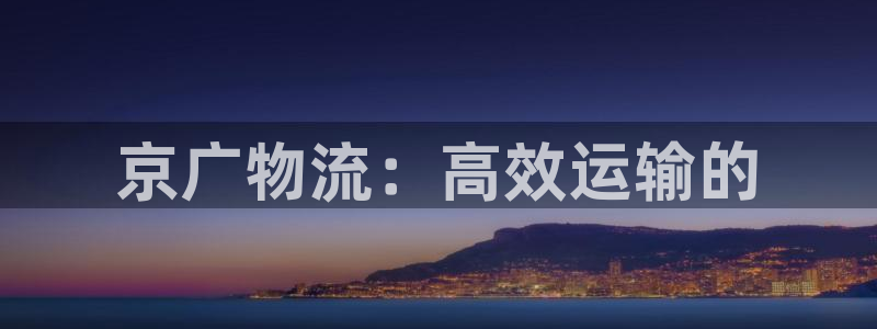 28圈模拟器在线玩：京广物流：高效运