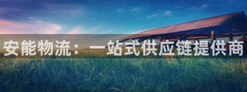 28圈充值不到账:安能物流:一站式供