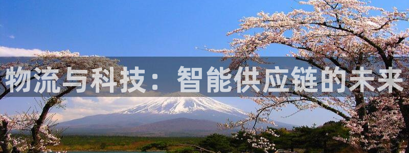 28圈p图上分下款通道：物流与科技：