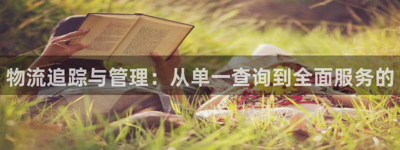 28圈PG电子游戏：物流追踪与管理：