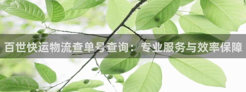 28圈：百世快运物流查单号查询：专业