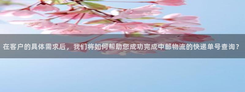 28圈辅助：在客户的具体需求后，我们