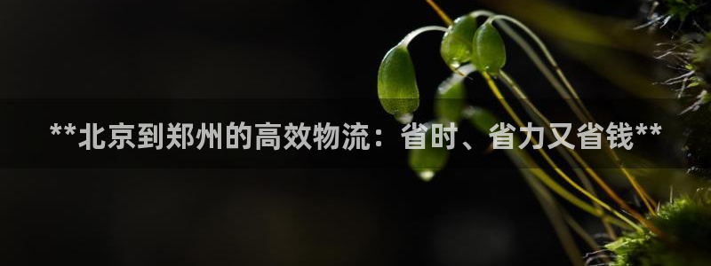 28圈注册用户名是什么：**北京到郑