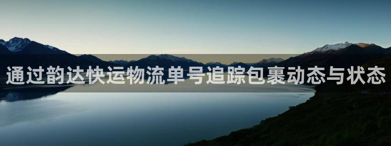 28圈.ccmpcios：通过韵达快运物流单号追踪包裹动态与