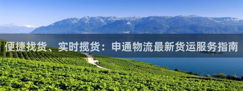 28圈官网链接：便捷找货、实时揽货：申通物流最新货运服务指南