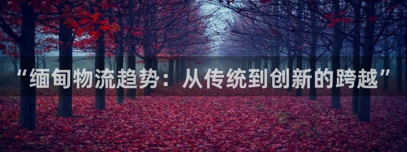 28圈农业银行是狗卡吗：“缅甸物流趋势：从传统到创新的跨越”