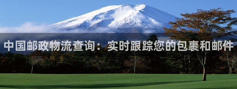 28圈链接是什么：中国邮政物流查询：实时跟踪您的包裹和邮件