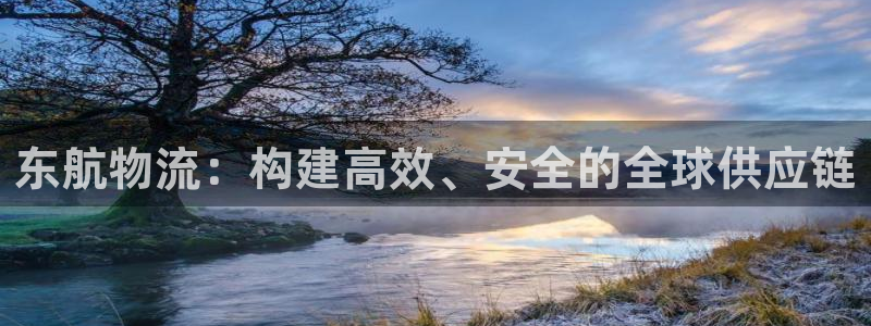 28圈犯法吗：东航物流：构建高效、安全的全球供应链