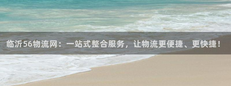 28圈游戏官网平台：临沂56物流网：一站式整合服务，让物流更