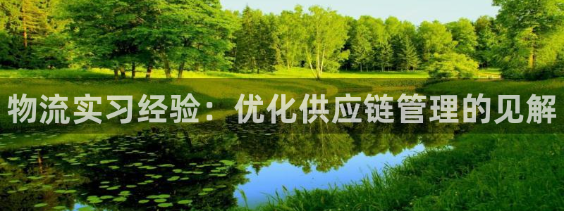 28圈娱乐官网网页：物流实习经验：优化供应链管理的见解