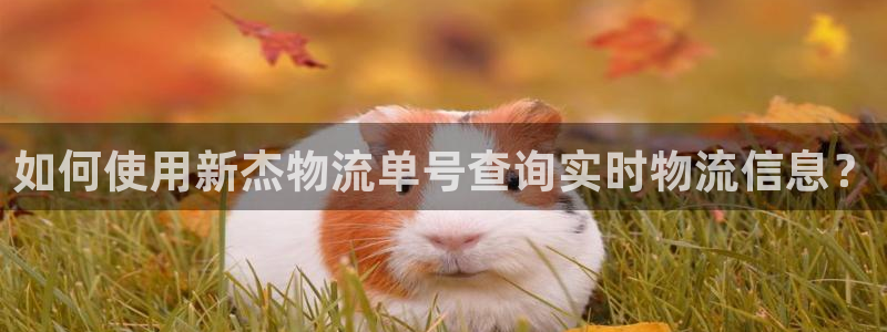 28圈加拿大模拟器