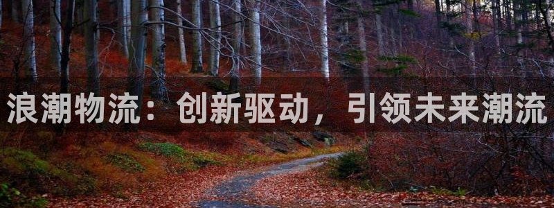 28圈哪个最赚钱