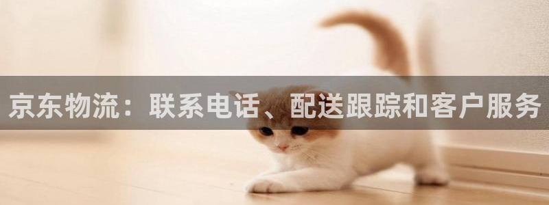 28圈官方网站是多少：京东物流：联系电话、配送跟踪和客户服务