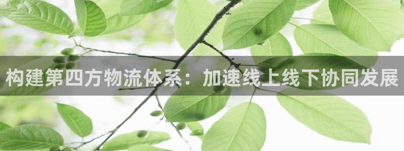 28圈反水：构建第四方物流体系：加速线上线下协同发展