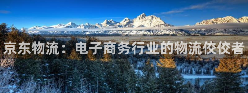 28圈.ccmpcios：京东物流：电子商务行业的物流佼佼者