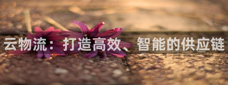 28圈.ccm2024：云物流：打造高效、智能的供应链