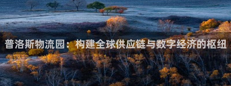28圈充值不到账怎么办：普洛斯物流园：构建全球供应链与数字经