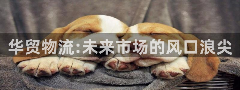 28圈app注册地址：华贸物流:未来市场的风口浪尖