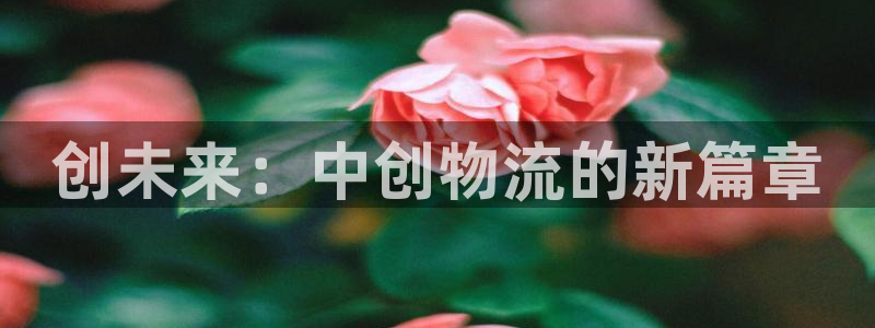 28圈自行车图片：创未来：中创物流的新篇章